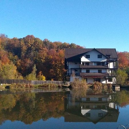 Dumbrava Soarelui Hotell Braşov Exteriör bild