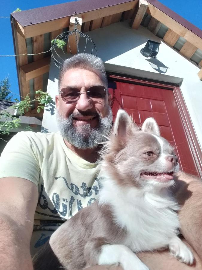 Dumbrava Soarelui Hotell Braşov Exteriör bild