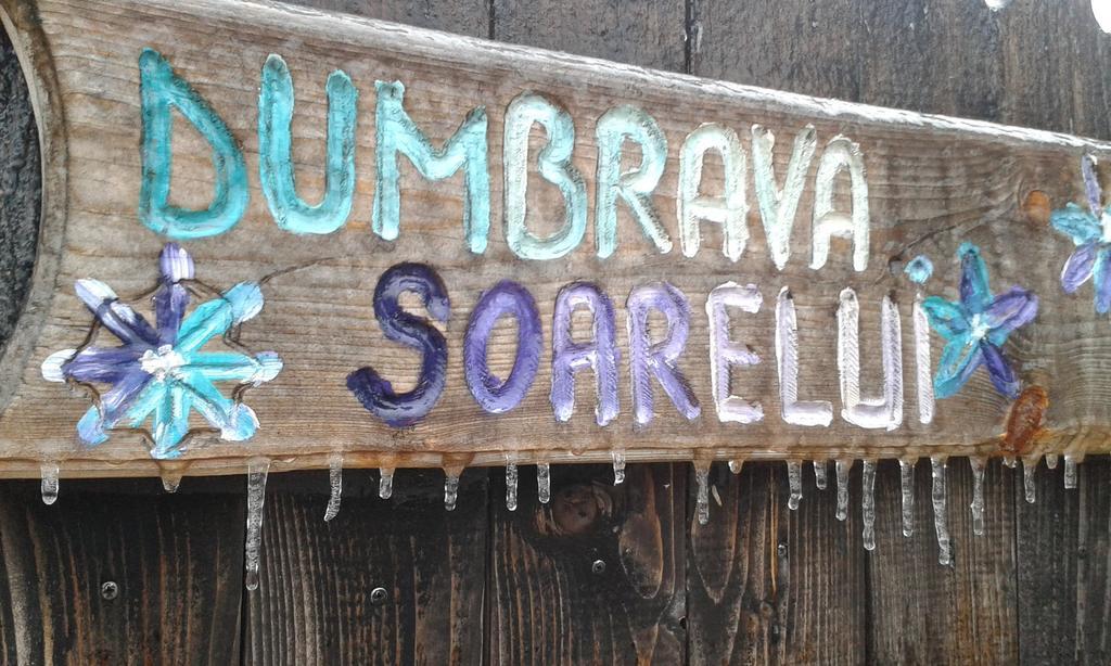 Dumbrava Soarelui Hotell Braşov Exteriör bild