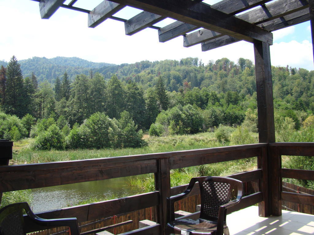 Dumbrava Soarelui Hotell Braşov Rum bild