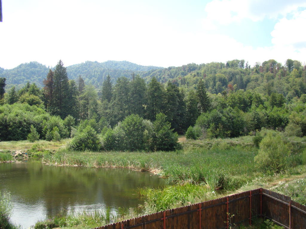 Dumbrava Soarelui Hotell Braşov Rum bild