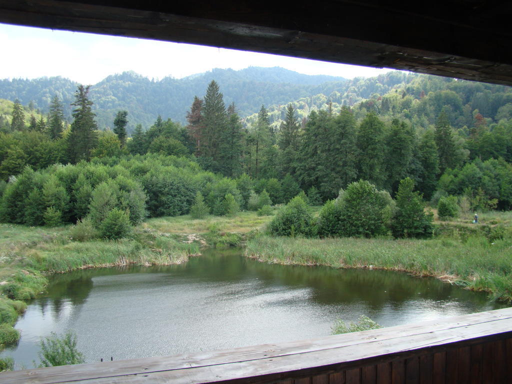 Dumbrava Soarelui Hotell Braşov Exteriör bild