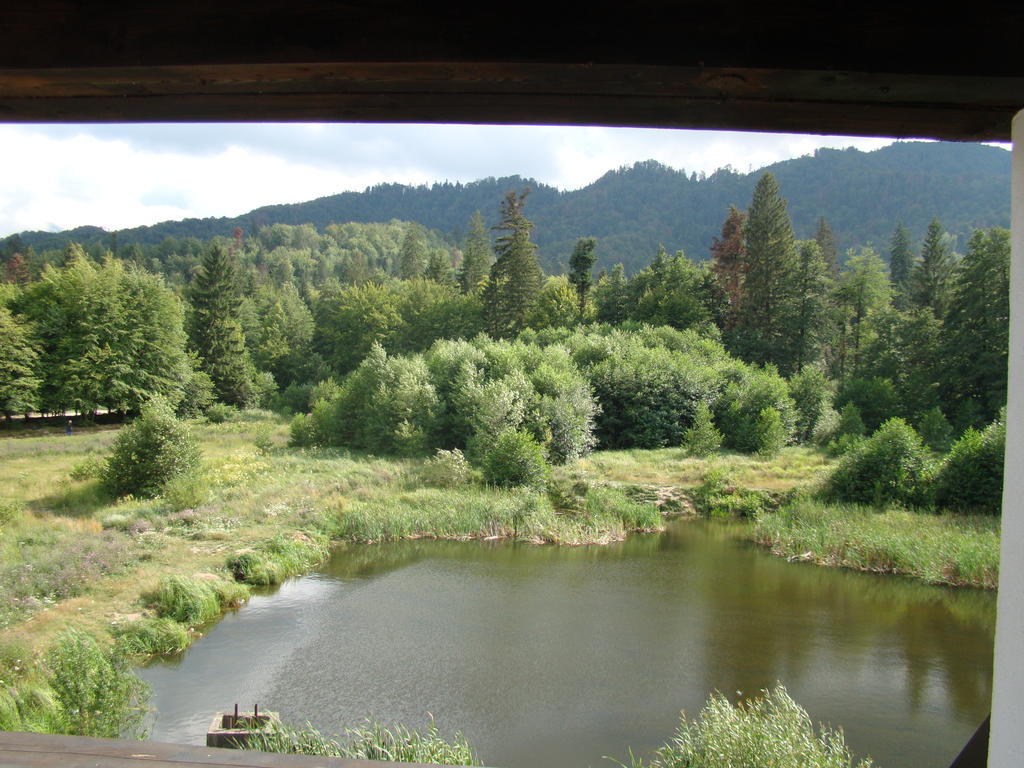 Dumbrava Soarelui Hotell Braşov Rum bild