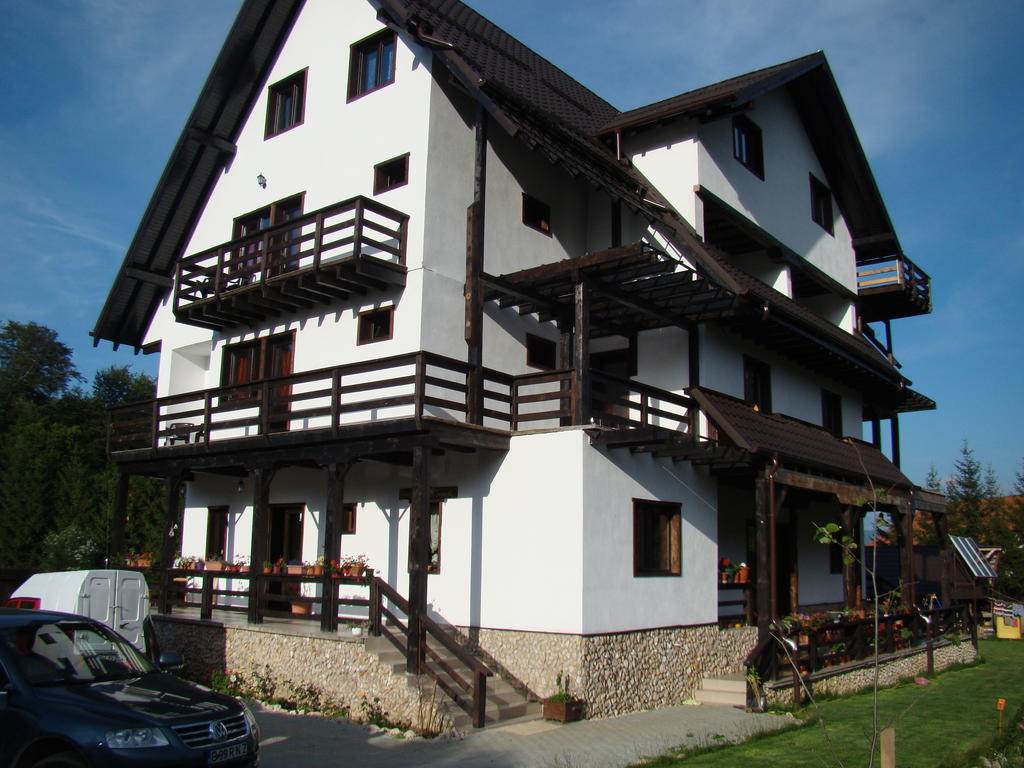 Dumbrava Soarelui Hotell Braşov Exteriör bild